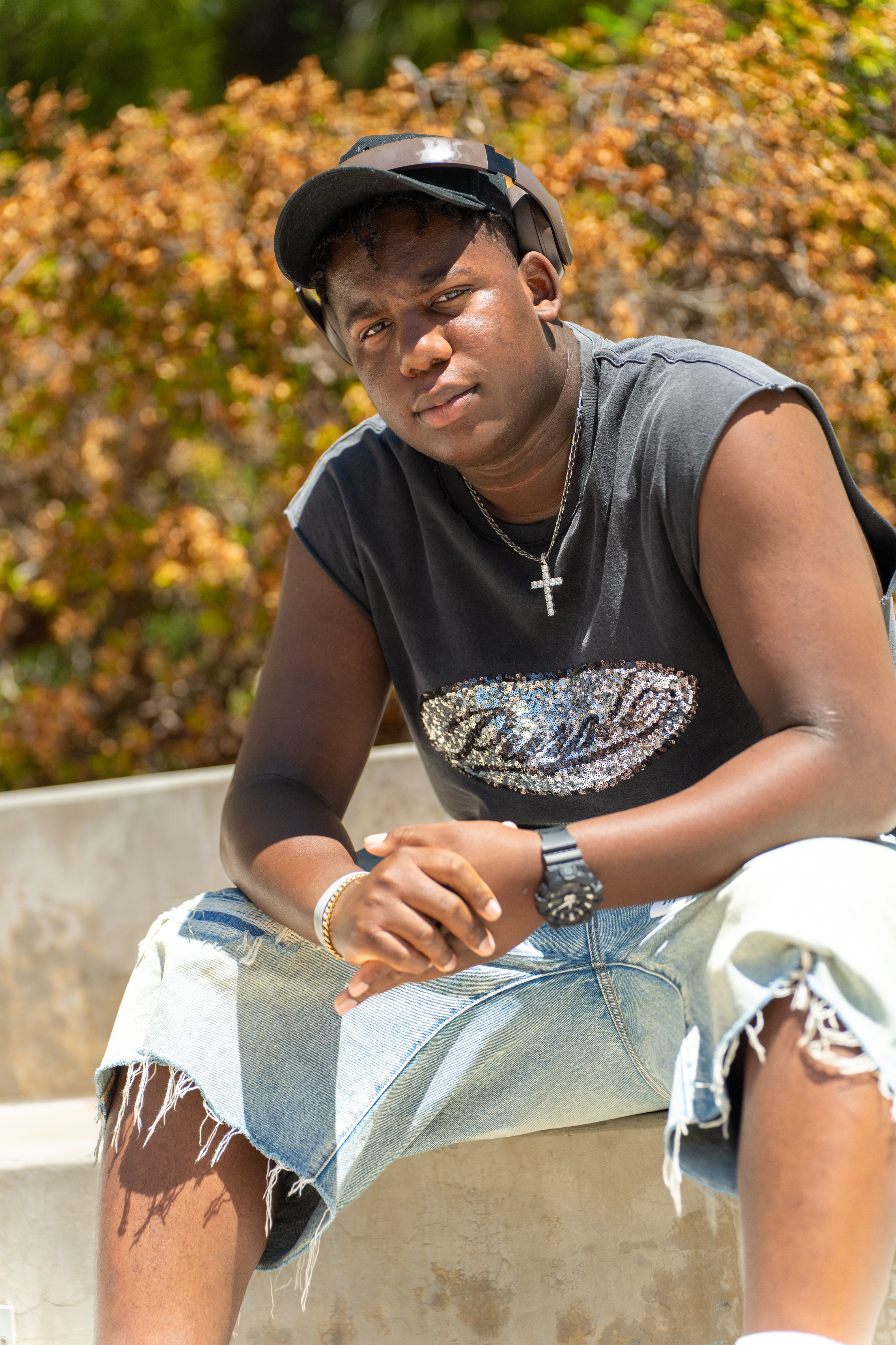 Chauncey sitting on wall with bushes in background